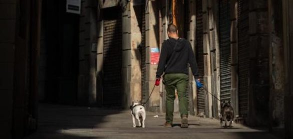 la-fiscalia-avisa-de-adopciones-ilegales-de-perros-como-excusa-para-saltarse-el-confinamiento