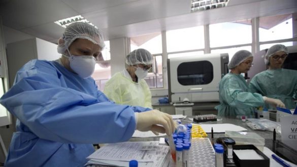 australia-comienza-pruebas-preclinicas-de-dos-vacunas-contra-el-coronavirus