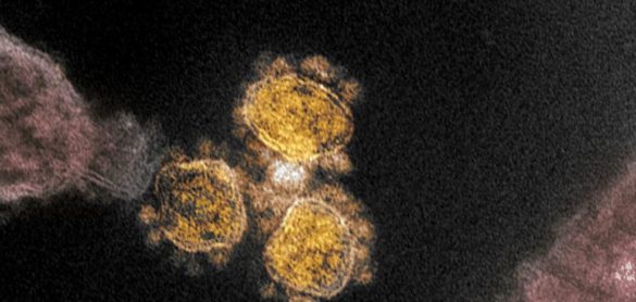 suecia-en-el-punto-de-mira-por-su-estrategia-ante-el-coronavirus