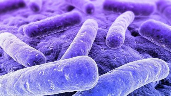 microbiota-que-es-el-sobrecrecimiento-bacteriano