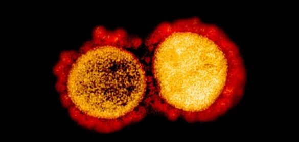 sars-cov-2-la-geometria-del-enemigo