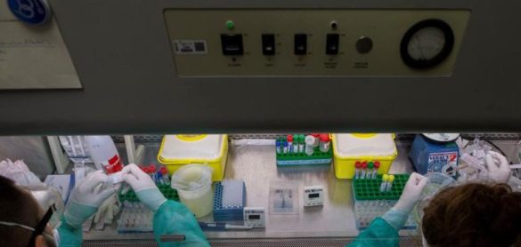descubren-en-murcielagos-seis-nuevos-coronavirus-ninguno-estrechamente-relacionado-con-la-covid-19