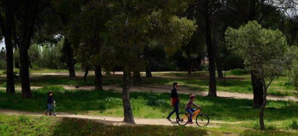 lecciones-de-una-pandemia-para-resolver-la-crisis-medioambiental