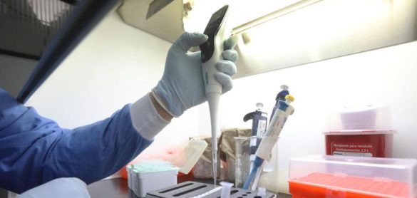 la-covid-19-no-ha-mutado-en-diferentes-tipos-de-virus