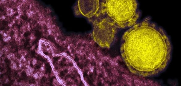 un-estudio-considera-poco-probable-que-las-temperaturas-frenen-el-coronavirus