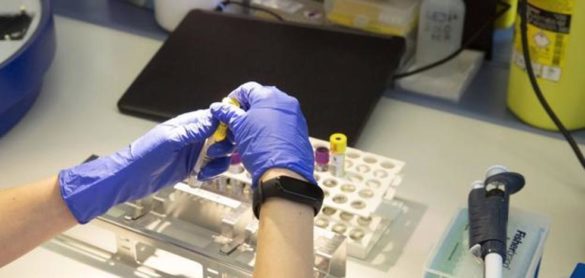 cuatro-de-cada-diez-personas-tiene-inmunidad-frente-al-coronavirus-sin-haberlo-pasado