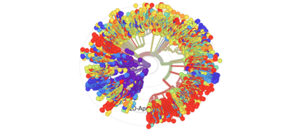 que-seamos-mas-o-menos-vulnerables-a-la-covid-19-depende-de-nuestros-genes