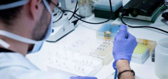 la-oms-ve-cada-vez-mas-improbable-una-segunda-ola-importante-del-coronavirus