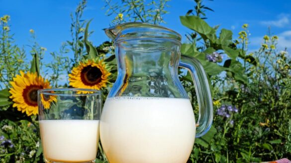 alergia-a-la-leche-de-vaca,-como-identificarla-y-tratarla