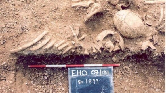 los-vikingos-padecian-viruela-y-pudieron-haber-ayudado-a-propagar-el-virus-mas-mortal-del-mundo