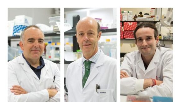 cientificos-espanoles-descifran-el-epigenoma-completo-del-mieloma-multiple,-un-agresivo-cancer-de-sangre