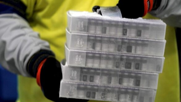 pfizer-recompensa-a-los-voluntarios-que-recibieron-su-placebo:-se-vacunaran-antes