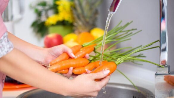las-zanahorias-reducen-el-colesterol,-pero-necesitan-de-una-enzima-para-producir-vitamina-a,-segun-un-estudio