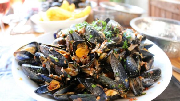 encuentran-microplasticos-en-los-mejillones-y-almejas-de-mayor-consumo-en-el-mundo