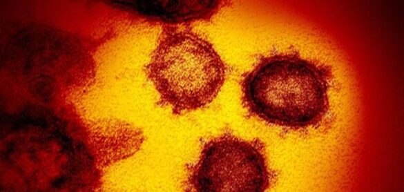 ¿debemos-preocuparnos-por-la-nueva-variante-del-coronavirus?