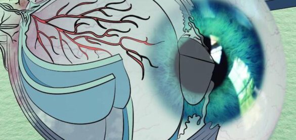 cientificos-«resucitaran»-ojos-de-fallecidos-para-experimentar-con-ellos