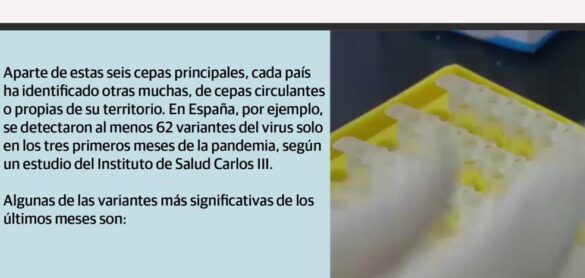 ¿cuantas-cepas-y-variantes-hay-del-coronavirus?