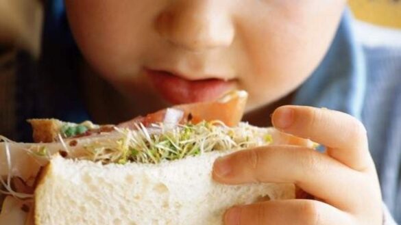 dioxinas-en-la-alimentacion:-¿cuales-son-los-riesgos-para-la-salud?-¿que-alimentos-contienen-estas-sustancias-toxicas?