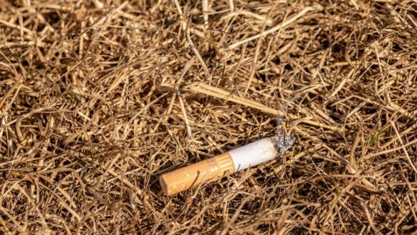 ¿no-te-atreves-a-dejar-de-fumar-por-miedo-a-engordar?-consejos-para-evitar-sustituir-los-cigarrillos-por-comida