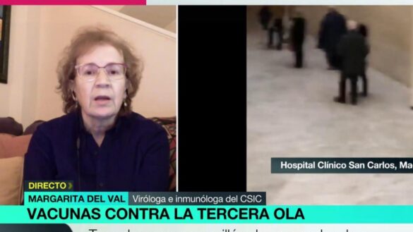 la-pregunta-que-margarita-del-val-no-puede-responder-sobre-la-pandemia:-«pregunteme-como-investigadora»