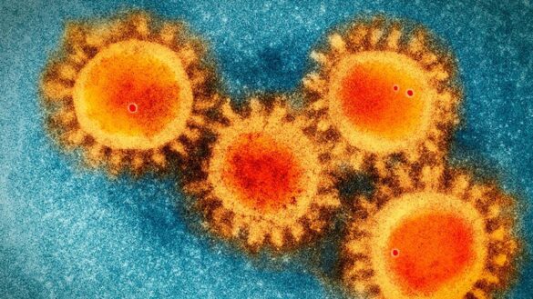 cual-es-la-diferencia-entre-mutaciones,-variantes-y-una-cepa-de-coronavirus