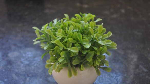 el-renacer-de-las-plantas-artificiales:-de-elemento-cutre-a-imprescindible-de-la-decoracion-de-interiores
