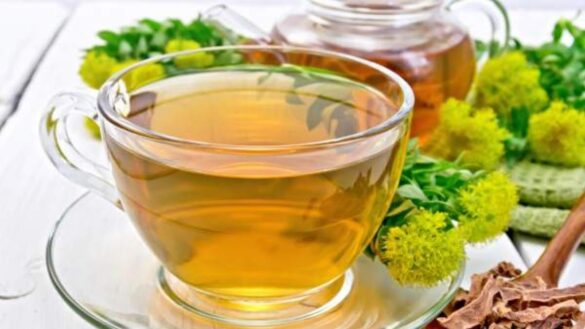 fucus,-el-alga-saciante-y-laxante-que-se-utiliza-para-adelgazar:-¿cuales-son-sus-contraindicaciones?