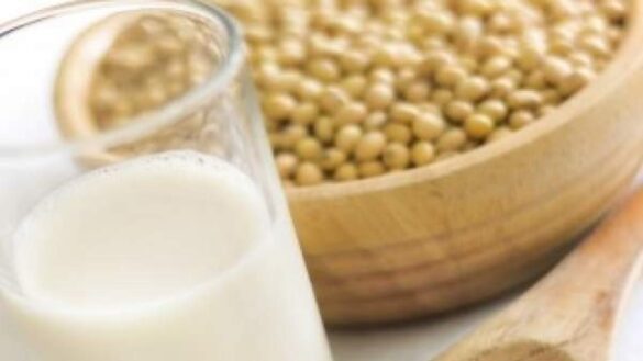 problemas-con-las-altas-ingestas-de-isoflavonas-al-consumir-soja-en-exceso:-pueden-interferir-en-el-metabolismo-y-actuar-como-disruptores-endocrinos