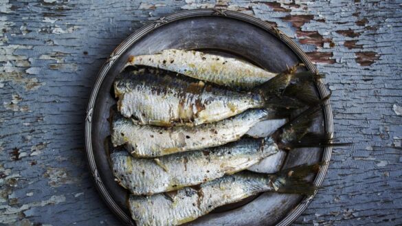 ¿que-carnes-y-pescados-estan-de-temporada-en-febrero?