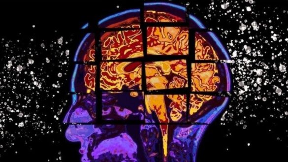 un-paso-mas-hacia-el-«cerebro-cuantico»:-logran-imitar-el-comportamiento-de-las-neuronas-en-el-cerebro