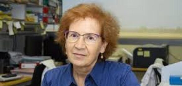 «solo-gozaremos-de-salud-si-garantizamos-un-reparto-equitativo-de-las-vacunas»
