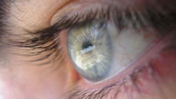 como-influye-la-herencia-genetica-en-el-color-de-los-ojos