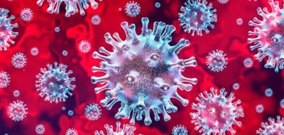 todos-los-coronavirus-del-mundo-cabrian-en-una-lata-de-refresco
