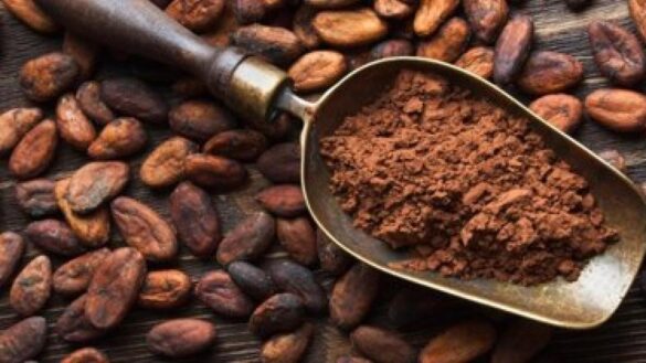 estos-son-los-mejores-cacaos-en-polvo,-segun-un-estudio-de-la-ocu-que-compara-mas-de-70-productos