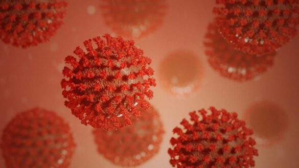 todos-los-coronavirus-cabrian-en-una-lata-de-refresco-(y-sobraria-espacio)