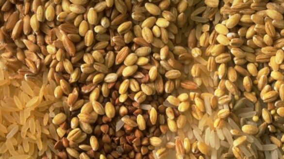 sanidad-define-a-la-dieta-macrobiotica-y-al-masaje-tailandes-como-pseudoterapias