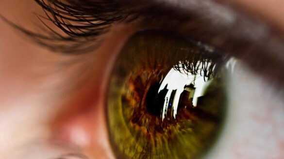 cinco-consejos-para-superar-la-fatiga-ocular,-que-se-ha-disparado-en-la-pandemia