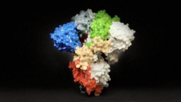 nuevas-tecnicas-de-imagen-en-3d-ayudan-a-conocer-«la-llave-de-entrada»-del-coronavirus-y-a-buscar-futuros-farmacos