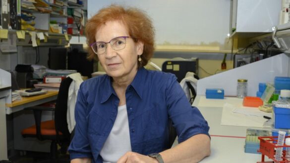 margarita-del-val:-«todas-las-vacunas-son-buenas.-a-una-persona-que-le-ofrezcan-astrazeneca-que-no-la-rechace»