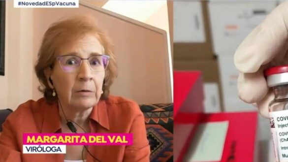 margarita-del-val,-sobre-la-vacuna-de-astrazeneca:-«los-casos-de-trombosis-no-se-salen-de-los-numeros-habituales»