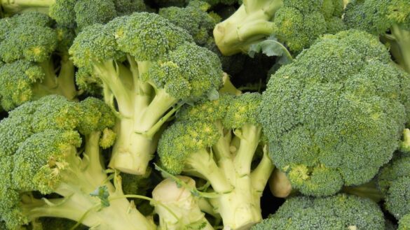 por-que-a-las-pacientes-con-endometriosis-les-beneficia-comer-brocoli
