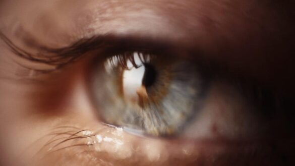 lenstore:-lentillas-de-todas-las-marcas-al-mejor-precio