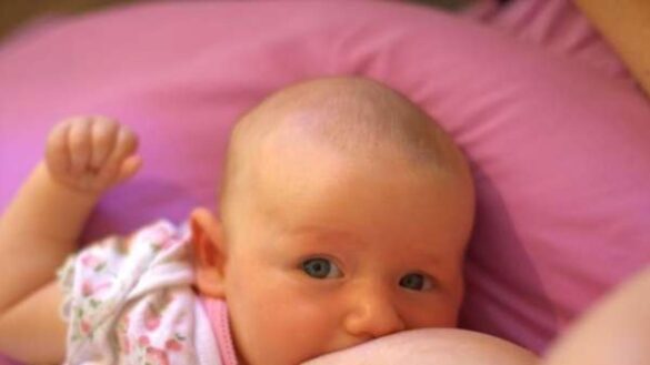 descubren-que-las-madres-vacunadas-con-pfizer-y-moderna-pasan-anticuerpos-a-sus-bebes-mediante-la-leche