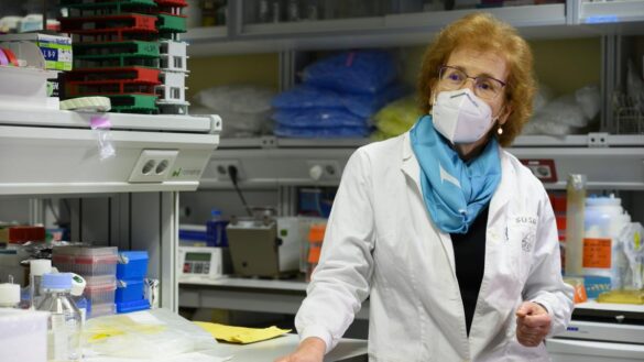 margarita-del-val-anima-a-la-poblacion-a-«aguantar-ocho-semanas-mas»-para-plantearse-una-«nueva-situacion»