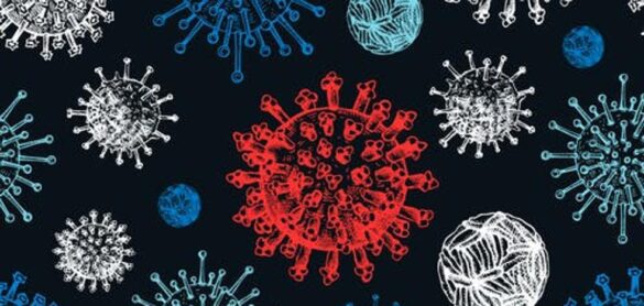 ¿para-que-sirven-los-virus?