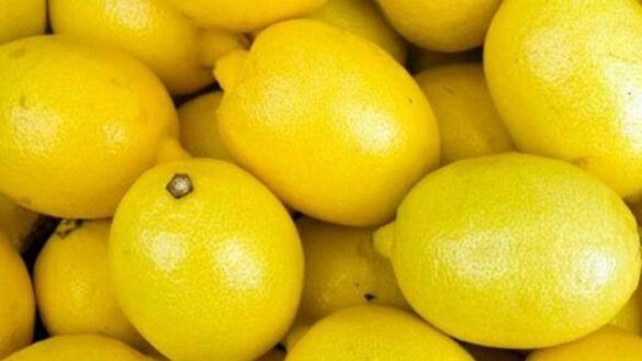 el-limon,-un-citrico-con-importantes-propiedades-antioxidantes:-¿cuales-son-sus-beneficios-para-la-salud?