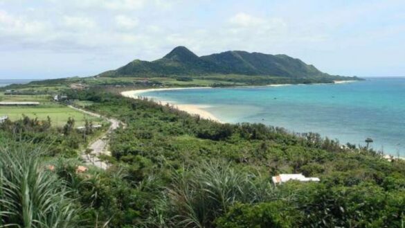 esta-es-la-dieta-que-siguen-en-okinawa,-la-isla-con-la-esperanza-de-vida-mas-elevada-del-mundo