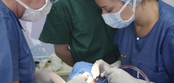 una-nueva-terapia-combinada-podria-mejorar-la-supervivencia-con-tumores-cerebrales-agresivos