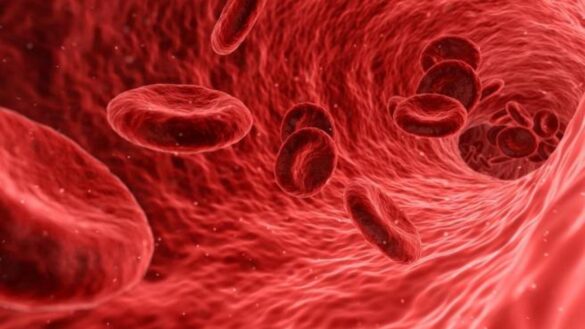 descubren-un-patron-comun-en-una-proteina-en-las-personas-afectadas-por-trombos-con-relacion-a-astrazeneca