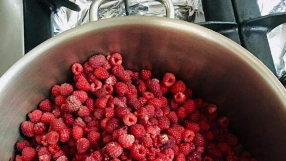 la-frambuesa,-una-fruta-con-una-potente-actividad-antioxidante:-estos-son-sus-beneficios-para-la-salud